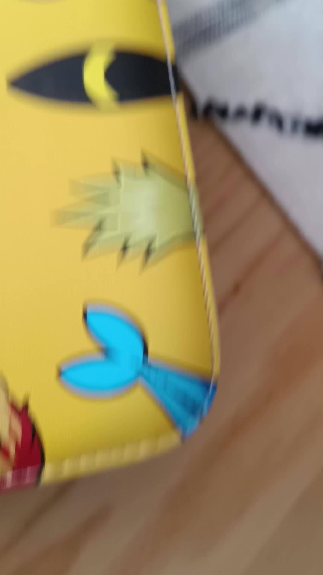 Porte vue pokémon de 320 vue, video